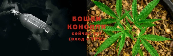 эйфоретик Михайловск