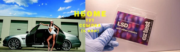 эйфоретик Михайловск