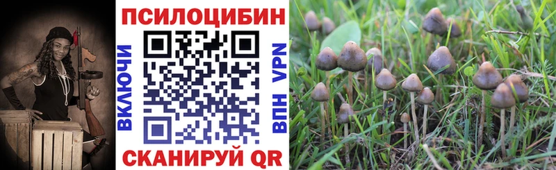 Галлюциногенные грибы Cubensis  Холмск 