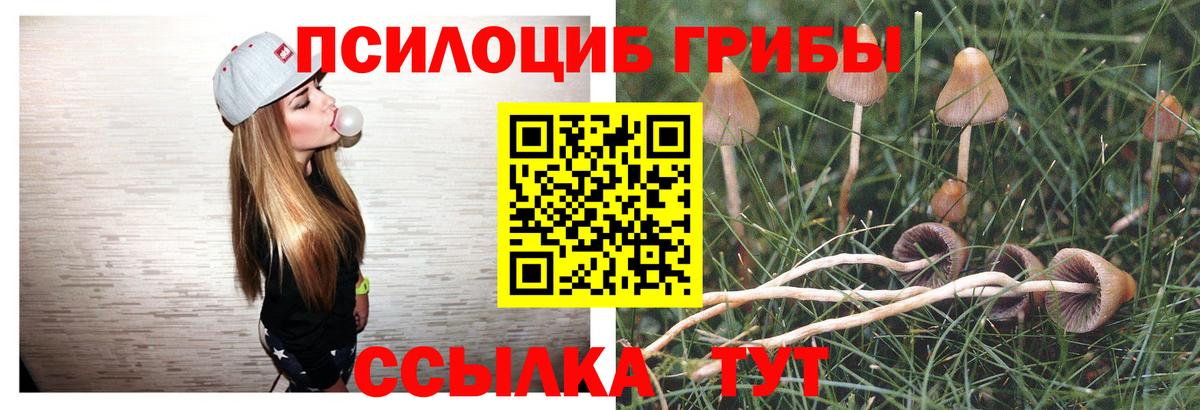 Холмск  Галлюциногенные грибы MAGIC MUSHROOMS  Вход с VPN 